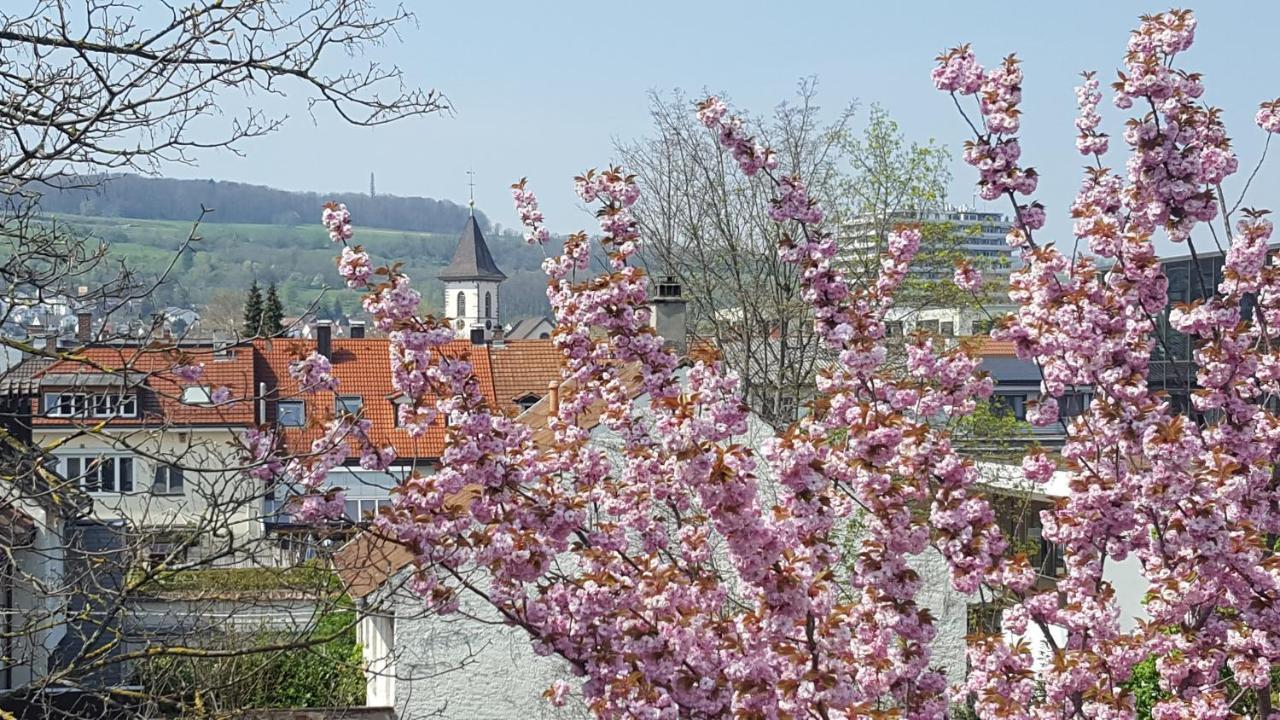 לוראך Villa Am Rosenfelspark מראה חיצוני תמונה