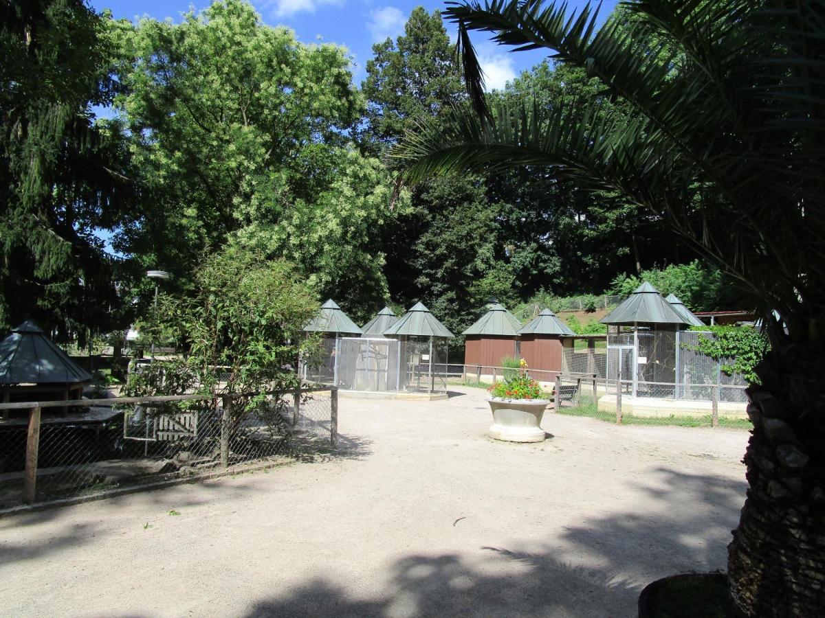 לוראך Villa Am Rosenfelspark מראה חיצוני תמונה